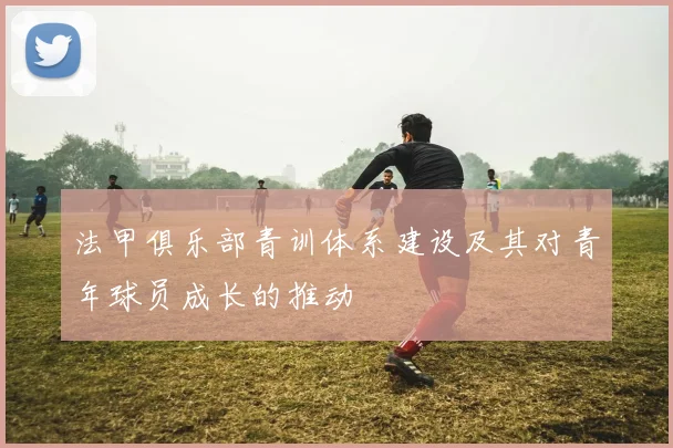 法甲俱乐部青训体系建设及其对青年球员成长的推动