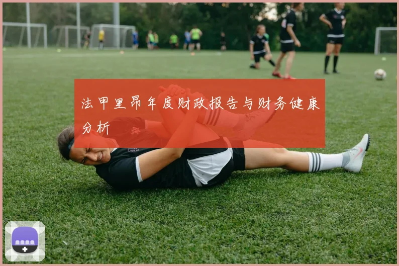 法甲里昂年度财政报告与财务健康分析